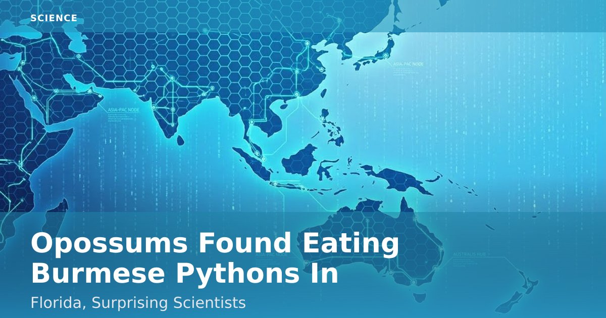 Opossums Found Eating Burmese Pythons In Florida, Surprising Scientists